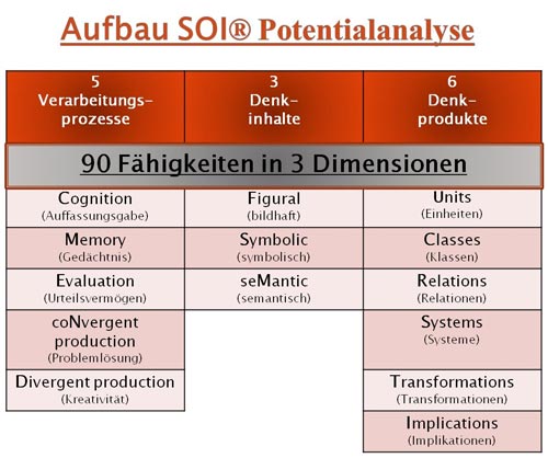 Aufbau SOI® Potentialanalyse