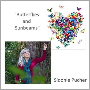 Song „Butterflies and Sunbeams“